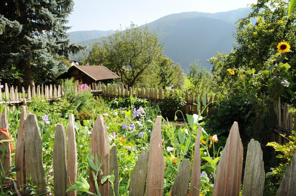 Chalet & Appartement Zingerlehof Trens Campo di Trens Exterior foto